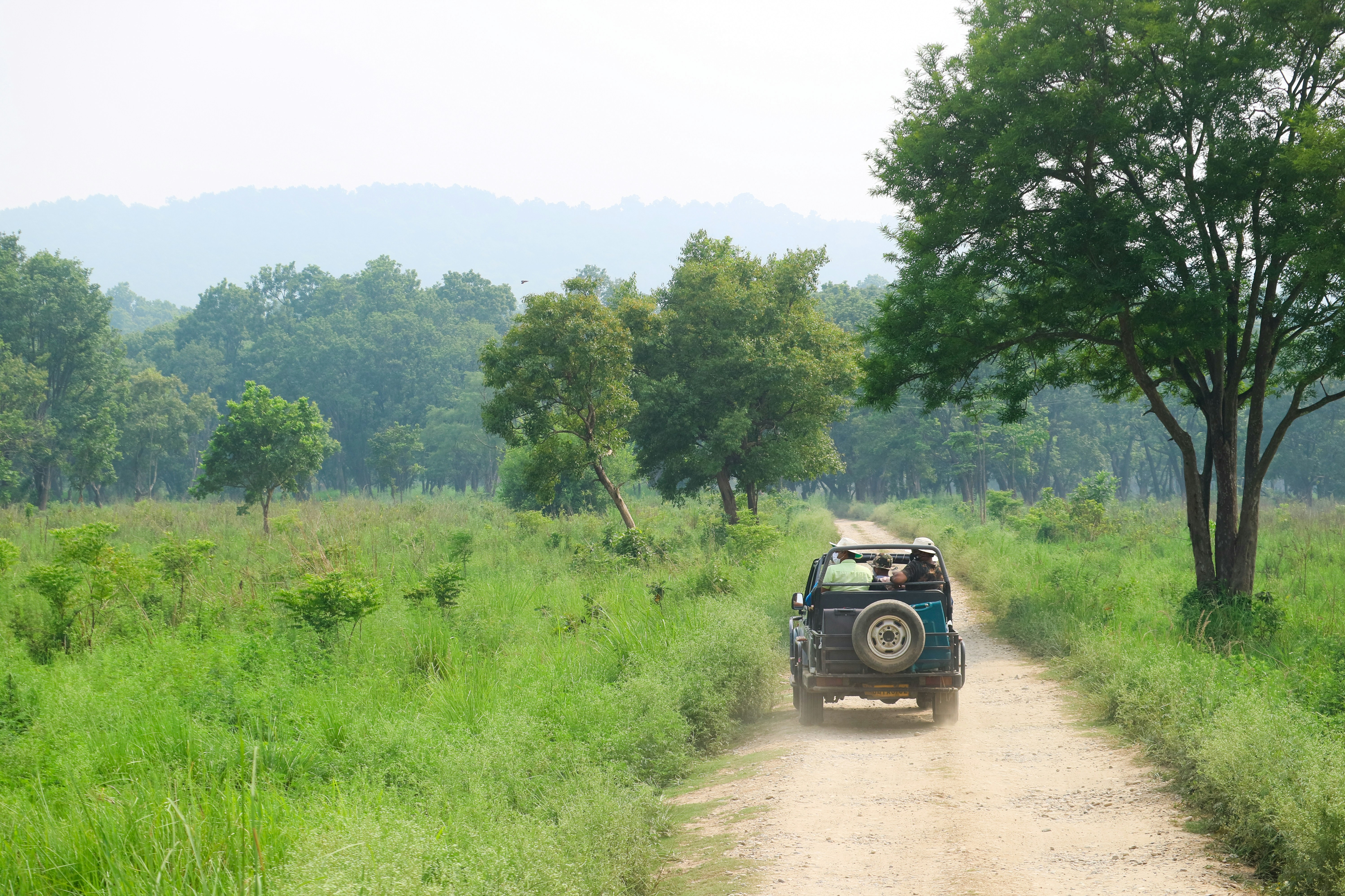 corbett-farms